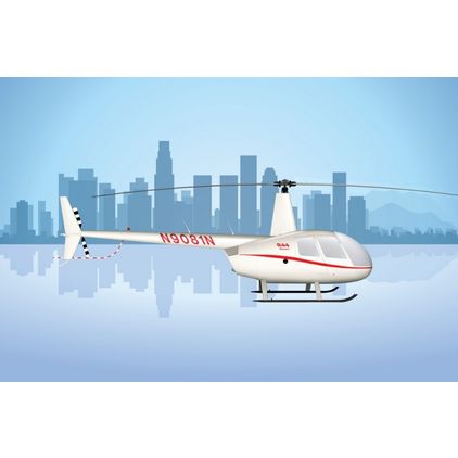 Robinson - R44 Raven I - 