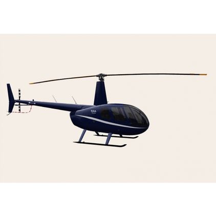 Robinson - R44 Raven I - 